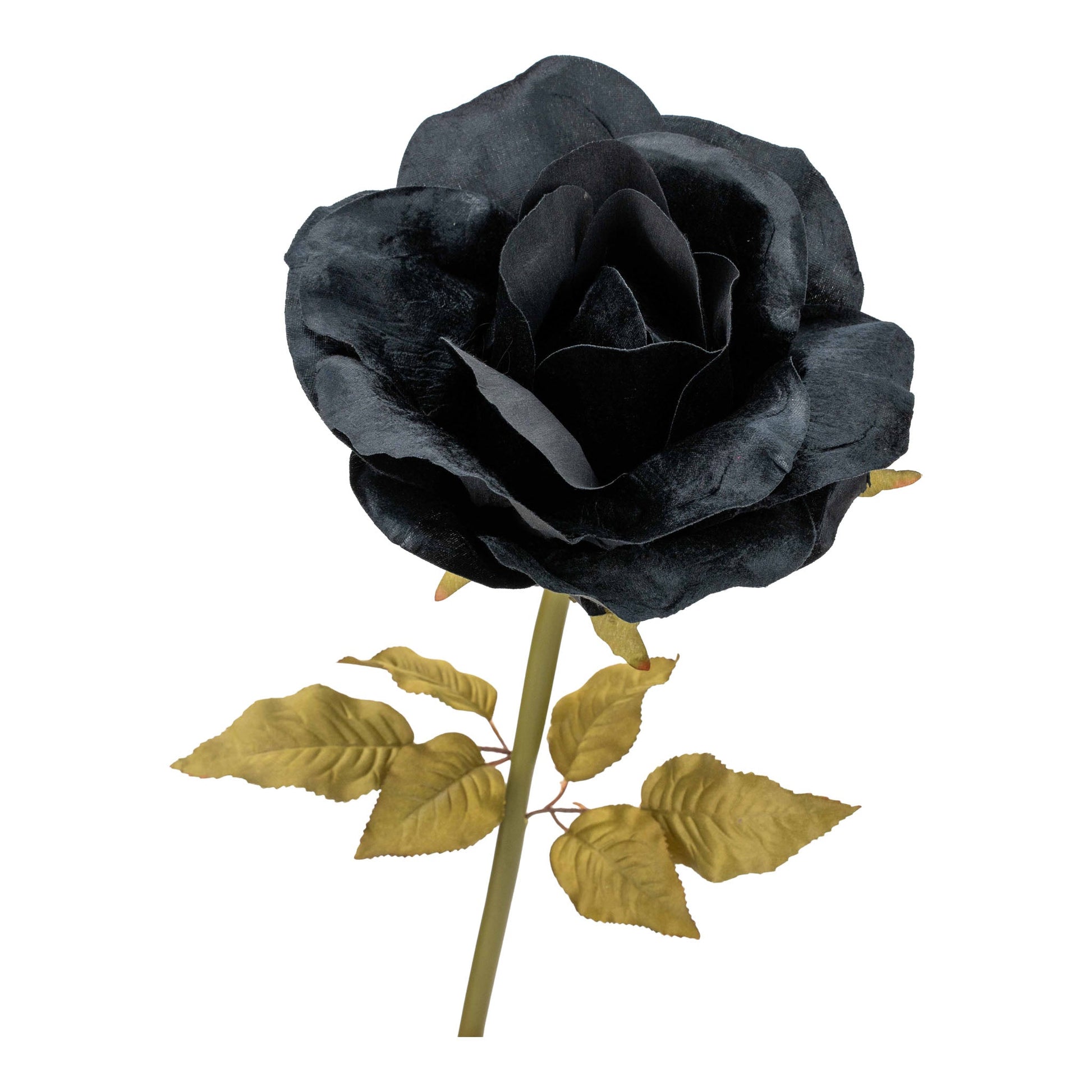 Black Rose Large Stem - My Christmas