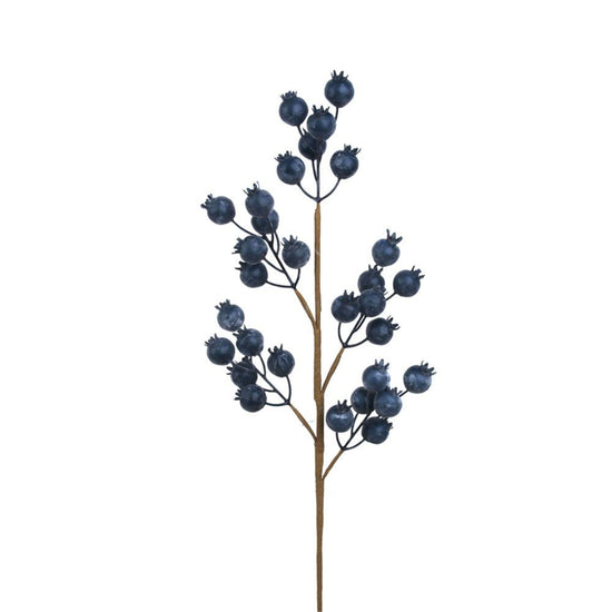 Blueberry Spray - My Christmas