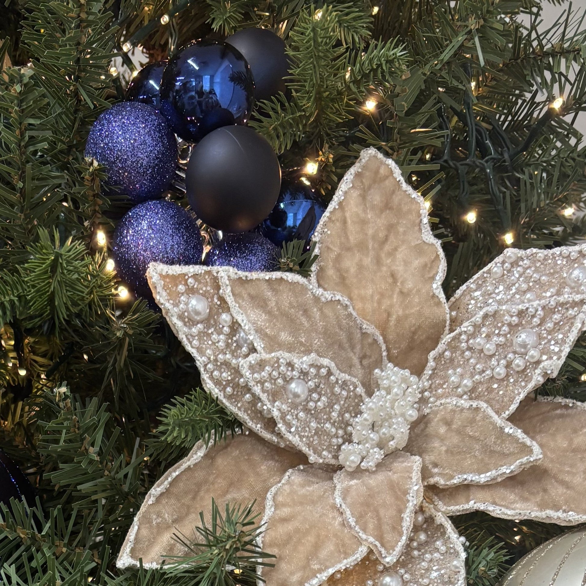 Champagne and Velvet Pearl Poinsettia - My Christmas