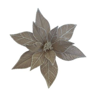 Champagne and White Poinsettia - My Christmas
