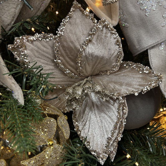 Champagne Clip-on Poinsettia with Crusted Edge - My Christmas