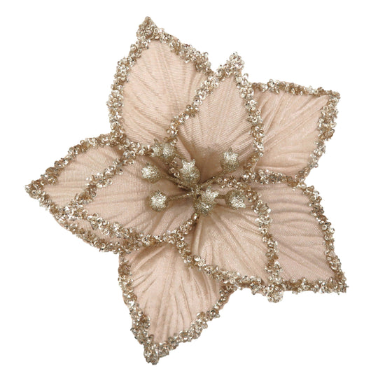 Champagne Clip-on Poinsettia with Crusted Edge - My Christmas
