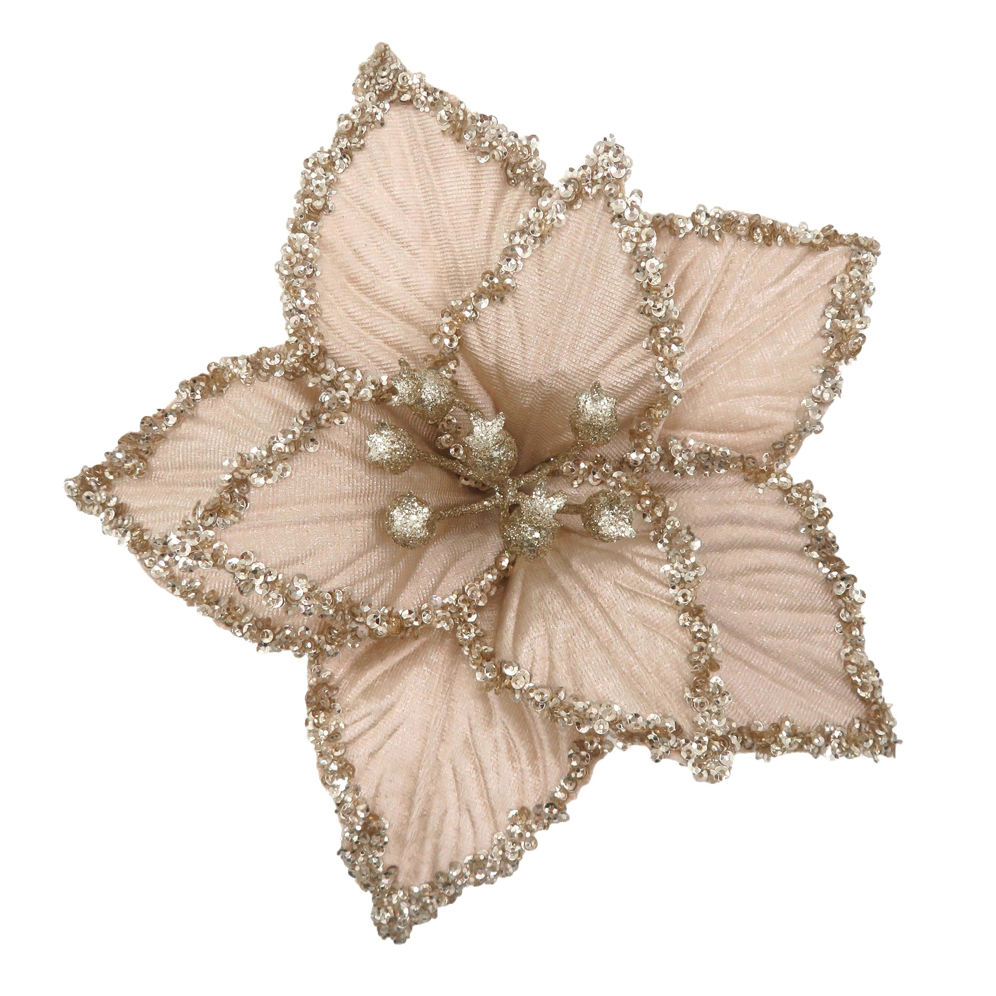 Champagne Clip-on Poinsettia with Crusted Edge - My Christmas