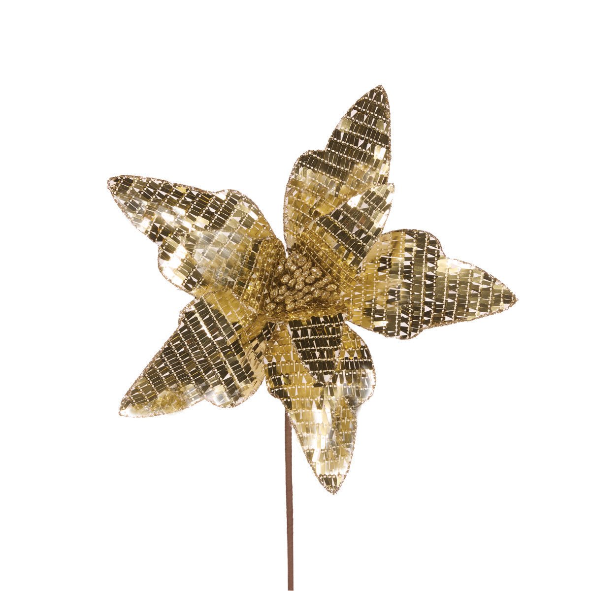 Champagne Disco Poinsettia - My Christmas