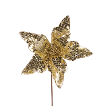 Champagne Disco Poinsettia - My Christmas
