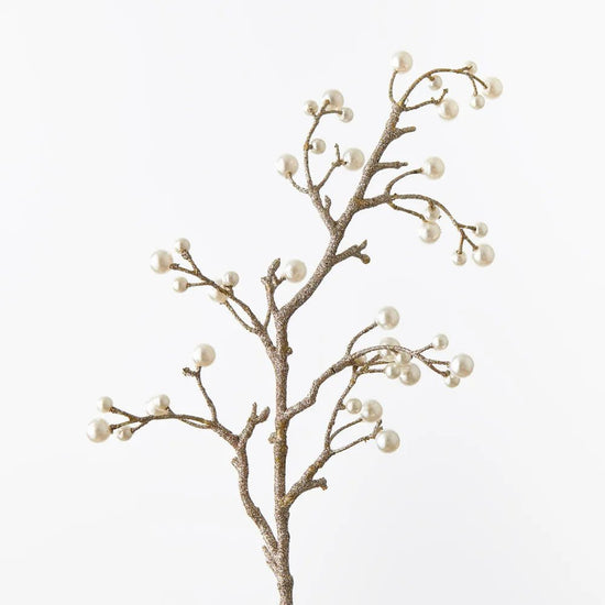 Champagne Pearl Metallic Spray - My Christmas