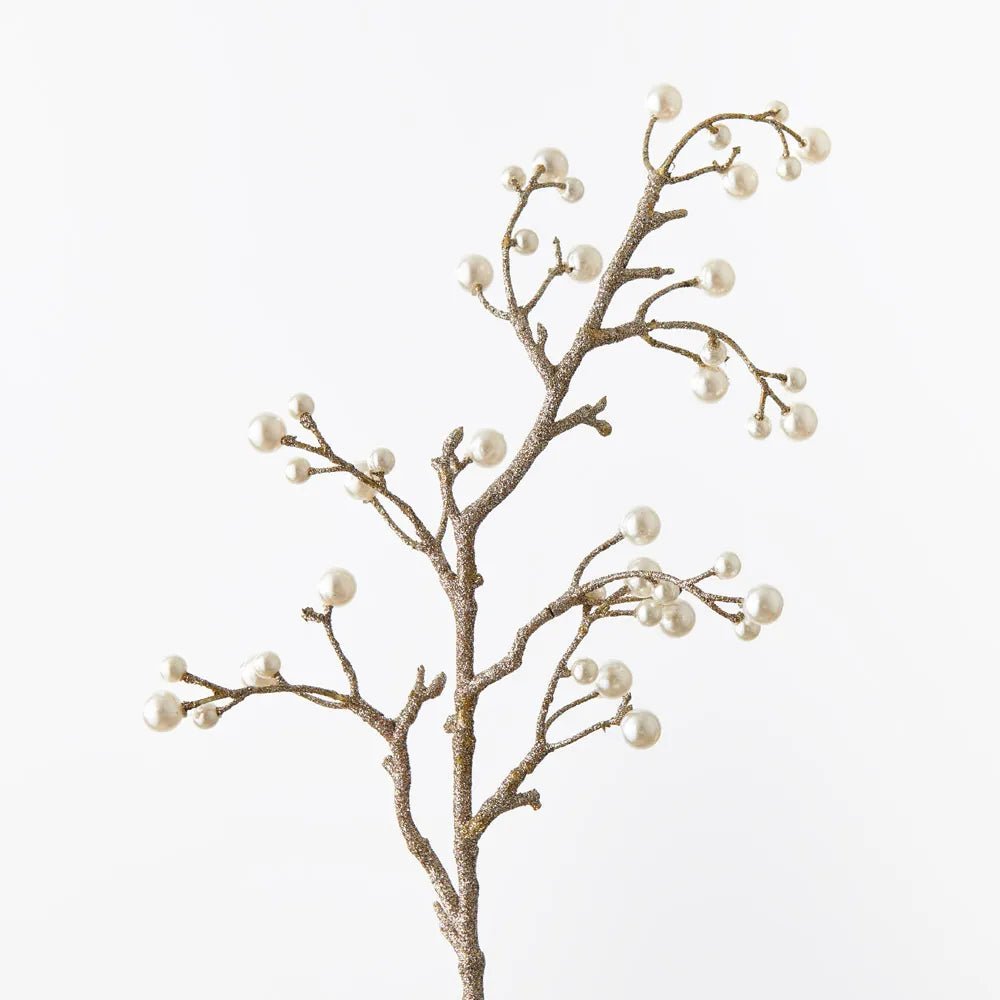 Champagne Pearl Metallic Spray - My Christmas