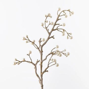 Champagne Pearl Metallic Spray - My Christmas