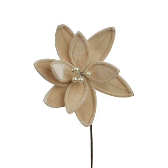 Champagne Velvet Poinsettia with Pearls - My Christmas