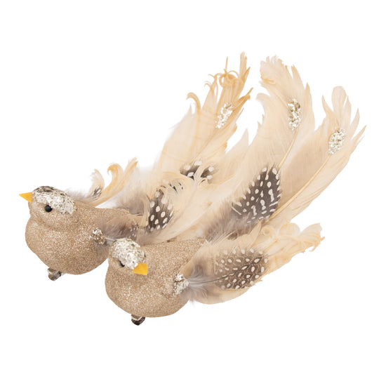 Champagne with Spotted Tail Clip-on Bird - Assorted - My Christmas