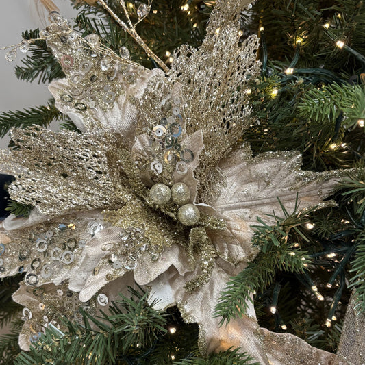 Champagne with Two - toned Glitter Poinsettia with Clip - My Christmas