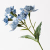 Dark Blue Astrantia Spray - My Christmas