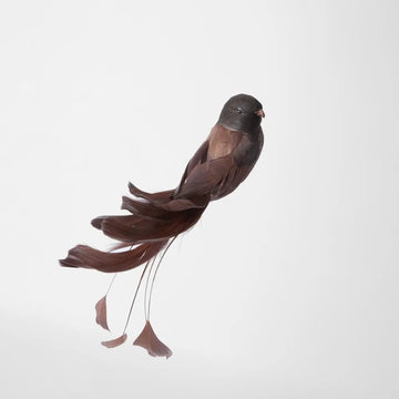 Dark Brown Melvin Clip - on Bird - Set of 3 - My Christmas