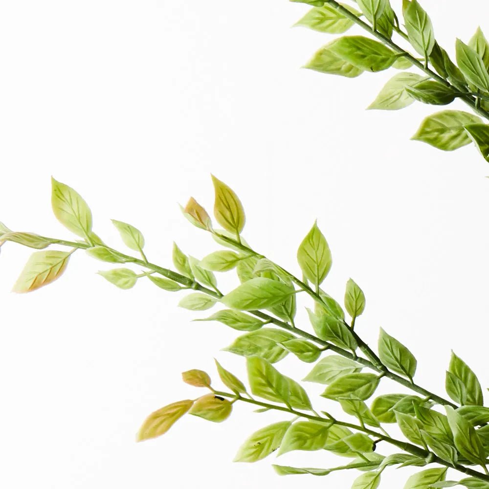 Dark Green Myrtle Leaf Spray - My Christmas