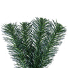 Douglas Fir Garland - 270cm - My Christmas