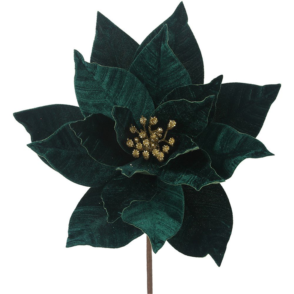 Emerald Green Poinsettia - My Christmas