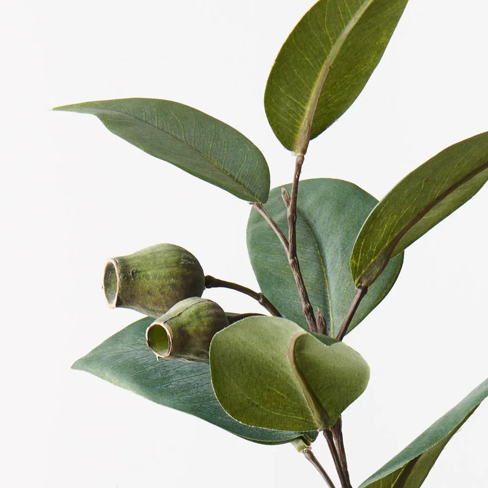 Eucalyptus Gum Nut Spray - My Christmas