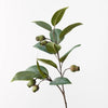 Eucalyptus Gum Nut Spray - My Christmas
