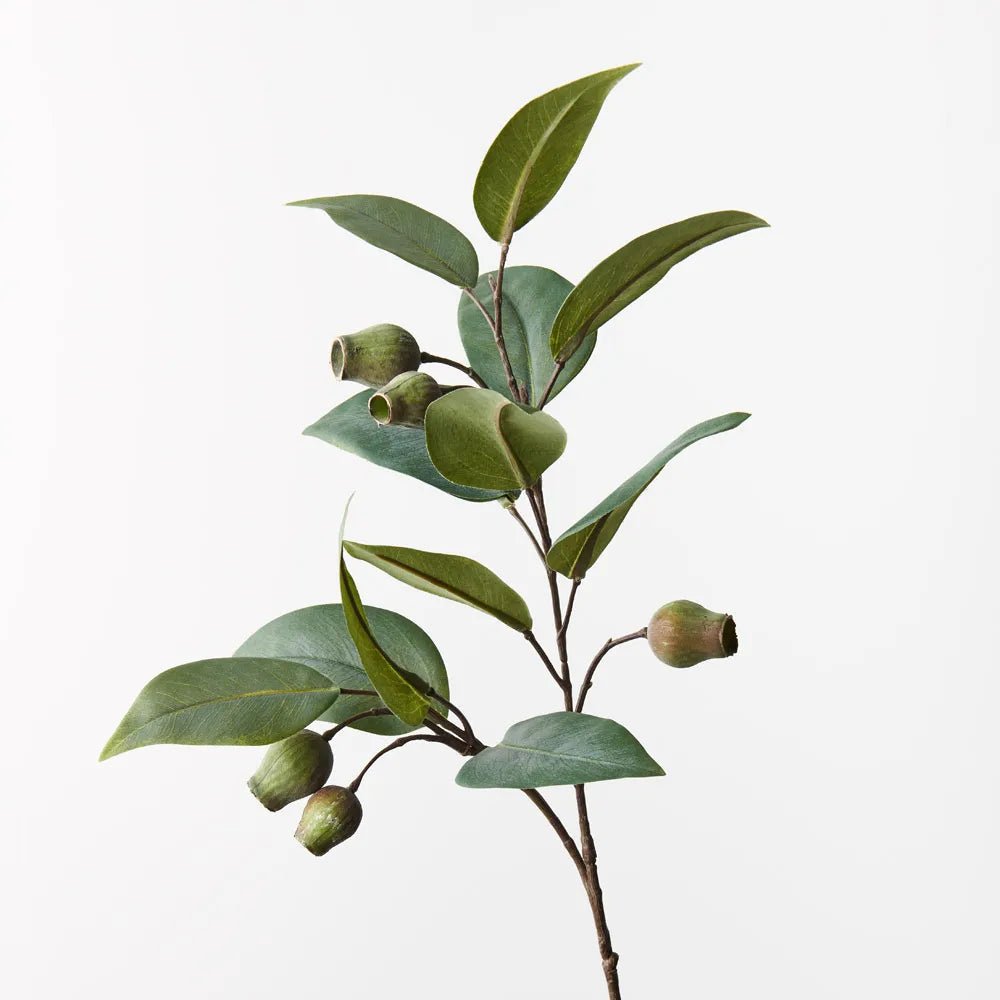 Eucalyptus Gum Nut Spray - My Christmas