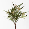 Eucalyptus Seed Bush - My Christmas
