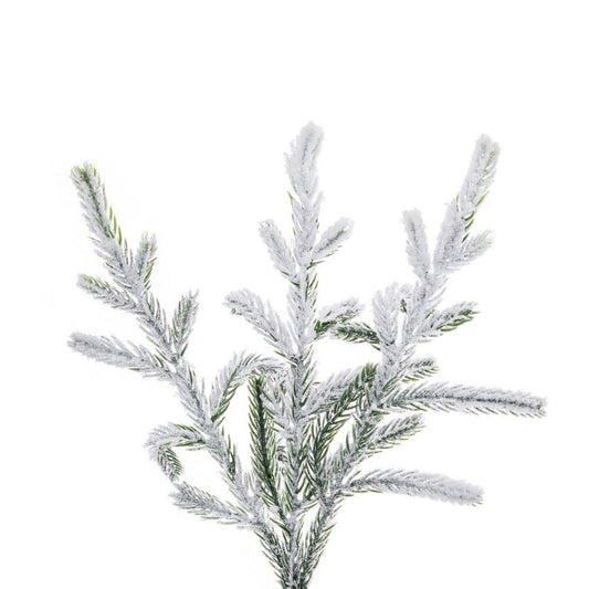 Frosted Norfolk Pine Wreath - 60cm - My Christmas