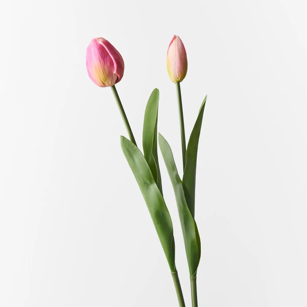 Fuchsia Tulip Bud & Bloom - Set of 2 - My Christmas