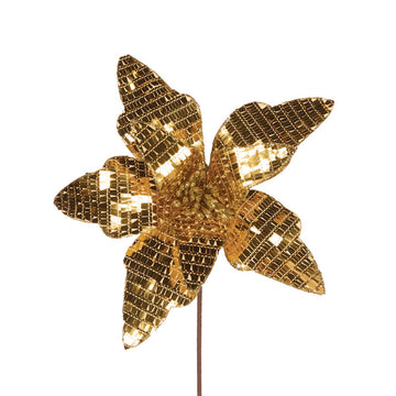 Gold Disco Poinsettia - My Christmas