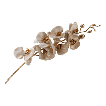 Gold Phalaenopsis Orchid Stem - 106cm - My Christmas