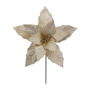 Gold Shimmer Poinsettia - My Christmas