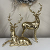 Gold with Pearls Standing Deer - My Christmas