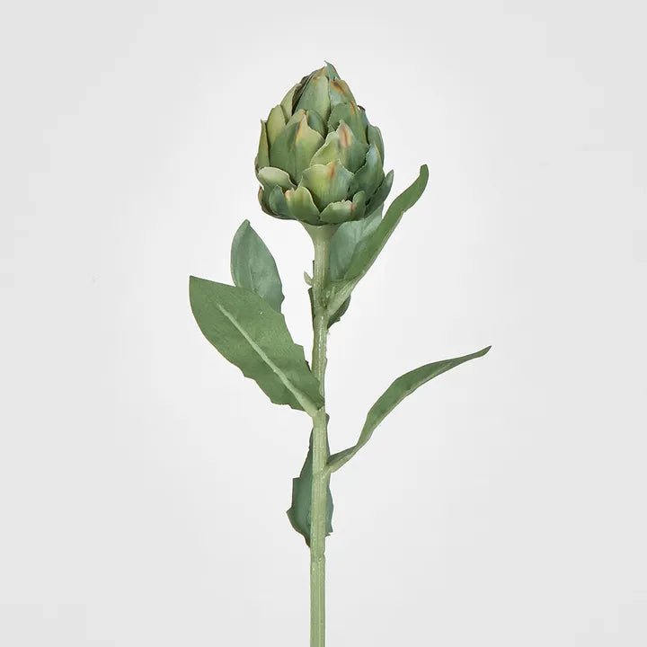 Green Artichoke Stem - My Christmas