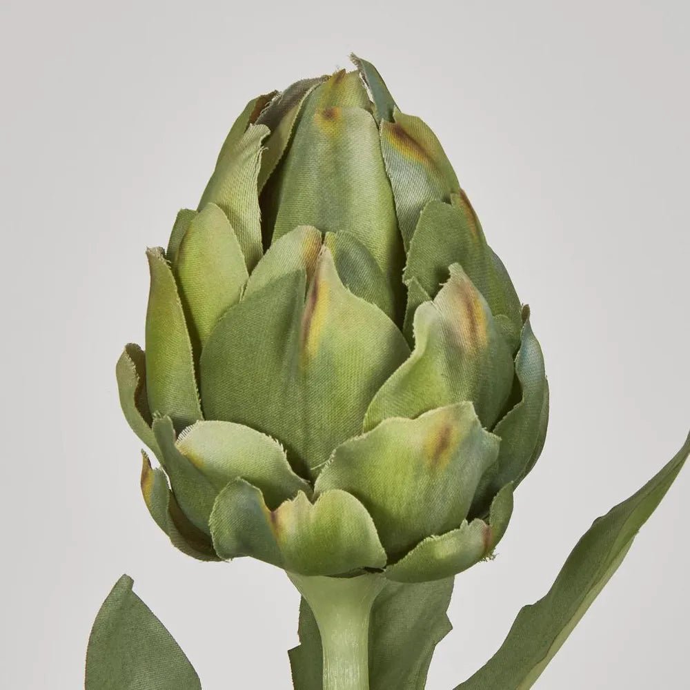 Green Artichoke Stem - My Christmas