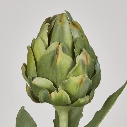 Green Artichoke Stem - My Christmas