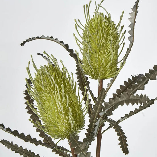 Green Banksia Double Spray - My Christmas