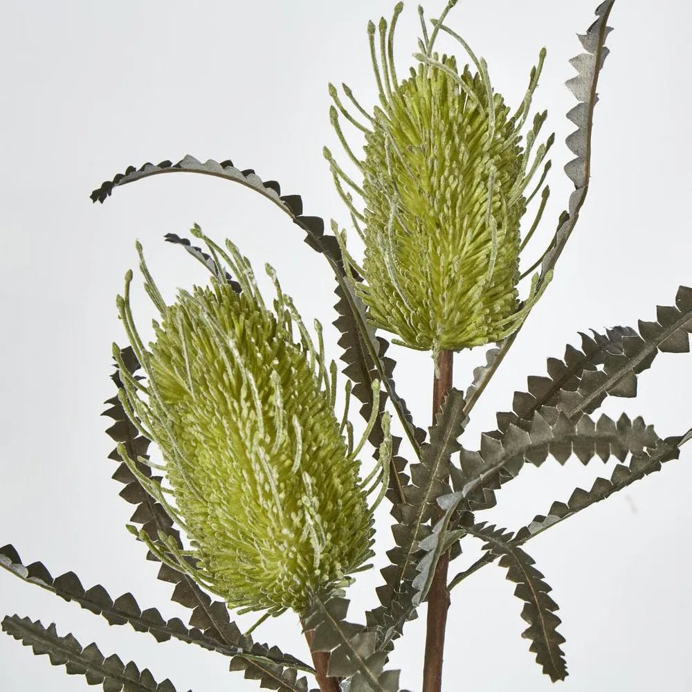 Green Banksia Double Spray - My Christmas