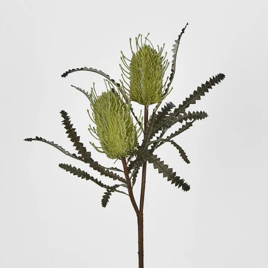 Green Banksia Double Spray - My Christmas