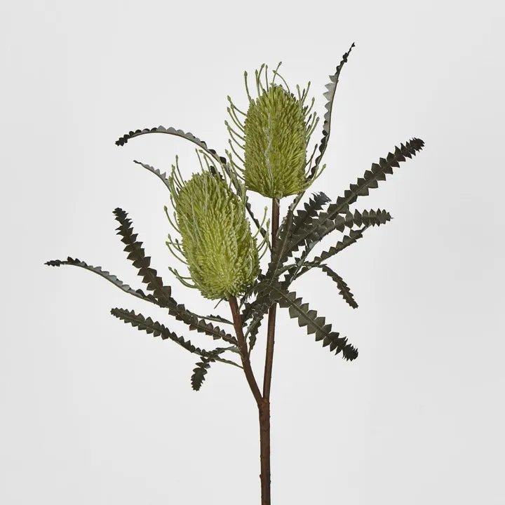 Green Banksia Double Spray - My Christmas