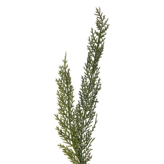 Green Cedar Garland - My Christmas