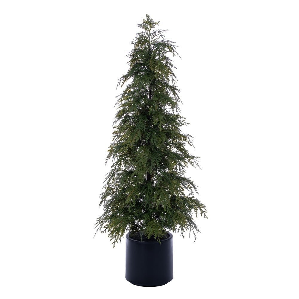 Christmas Trees