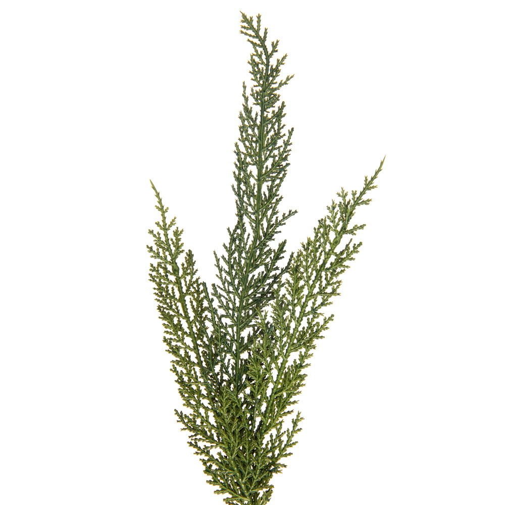 Green Deluxe Cedar Garland - My Christmas