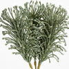Green Glitter Fern Bunch - My Christmas