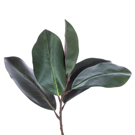 Green Magnolia Leaf Garland - 180cm - My Christmas