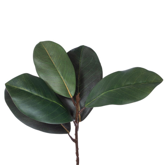 Green Magnolia Leaf Wreath - My Christmas