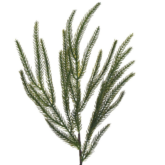 Green Norfolk Pine Garland - 160cm - My Christmas