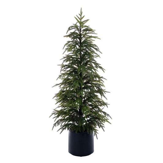 Green Norfolk Pine Potted Tree - My Christmas
