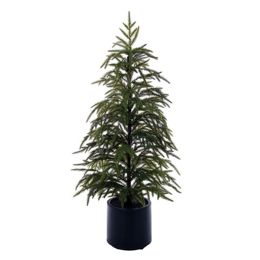 Green Norfolk Pine Potted Tree - My Christmas