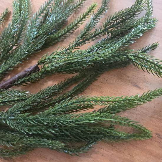 Green Norfolk Pine Spray - My Christmas