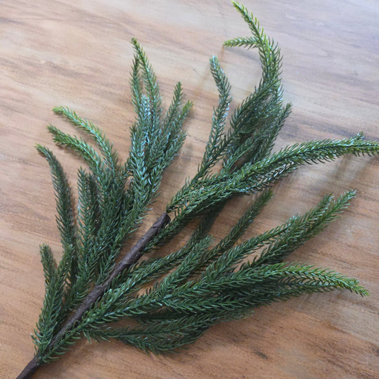 Green Norfolk Pine Spray - My Christmas