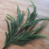 Green Norfolk Pine Spray - My Christmas
