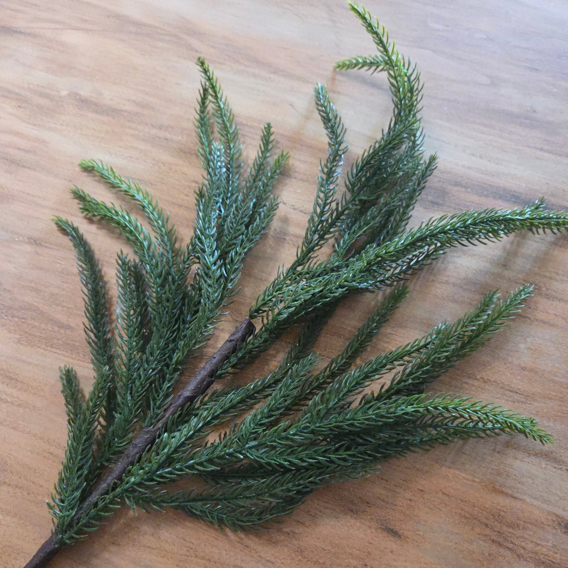 Green Norfolk Pine Spray - My Christmas